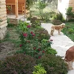 Mihricem Mesudiye
