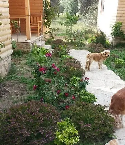 Mihricem Mesudiye (Datca)