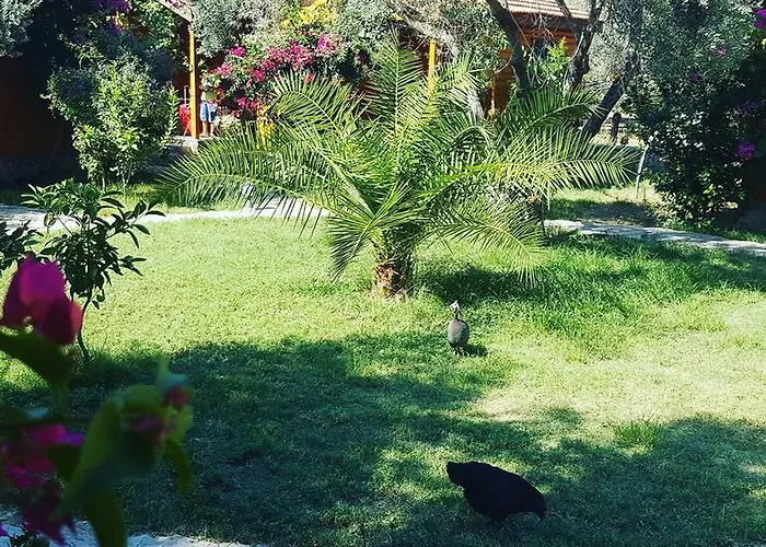 Hotel Mihricem Mesudiye (Datca)